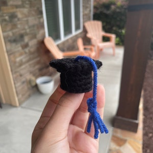 May include: A small black graduation cap with a blue tassel. The cap is made of felt and has a square top. The tassel is made of yarn and has a fringe at the bottom.
