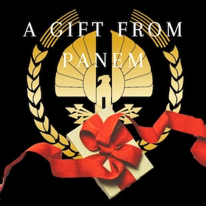 A Gift From Panem