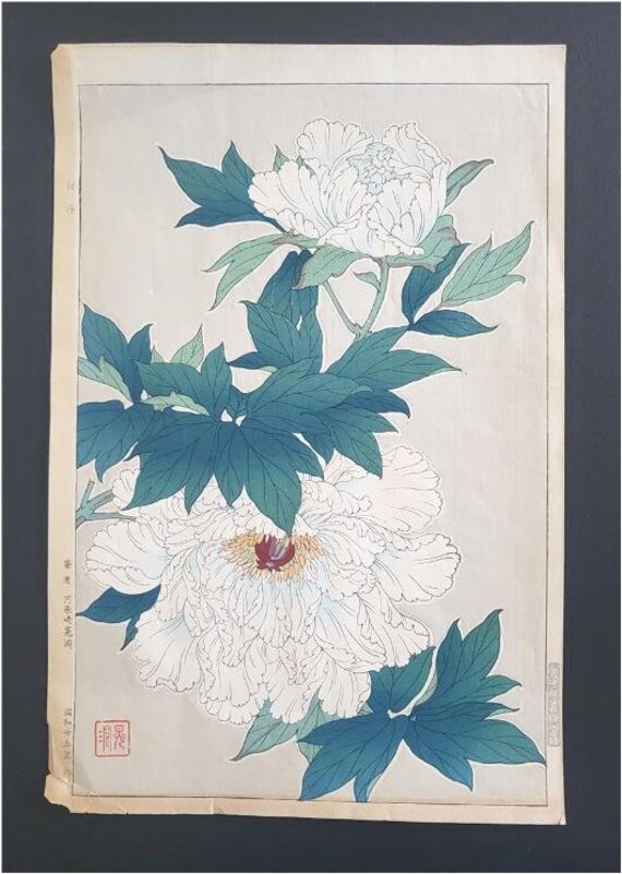 さなぎ | 福岡アジア美術館