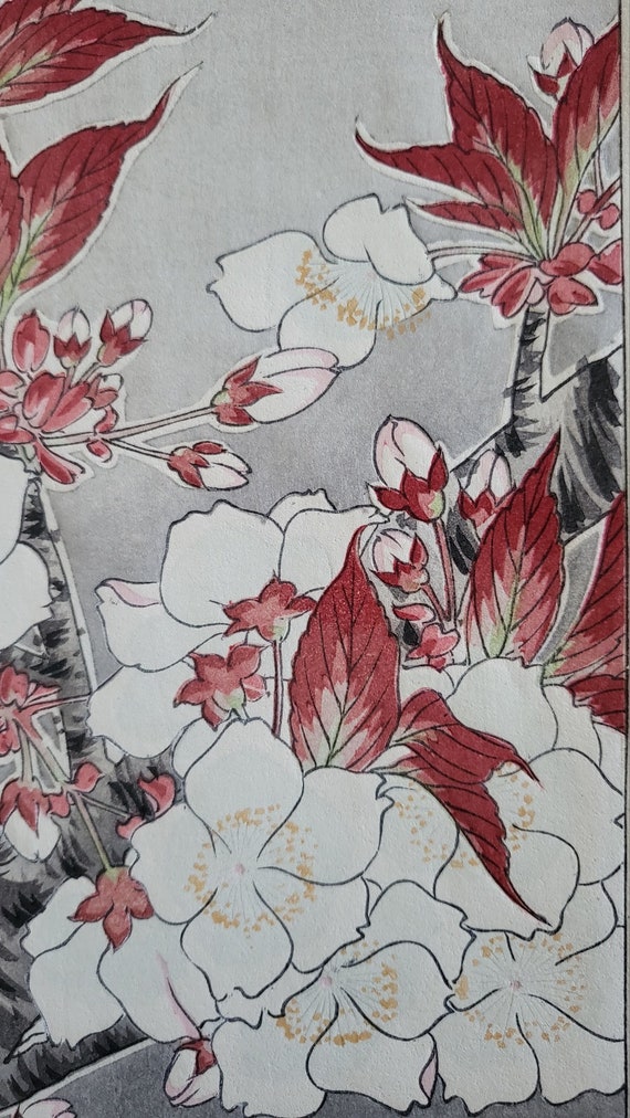 さなぎ | 福岡アジア美術館