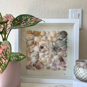 May include: A framed seashell art piece with a white frame. The artwork features a variety of seashells in shades of white, tan, and brown, arranged in a square pattern. A small gold mermaid figurine is included.