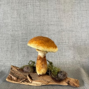 May include: A handcrafted felt mushroom with a brown cap and a cream-colored stem, set on a piece of driftwood with green moss accents. The mushroom is a detailed, whimsical decorative item.