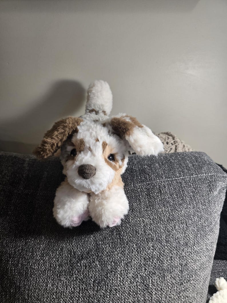 Peluche de perro: Peluche de perro de lana suave y esponjosa Australian Shepherd