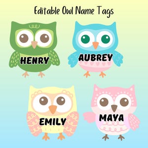 Owl Classroom Name Tags, Owl Student Desk Labels, Cute Locker Labels ...
