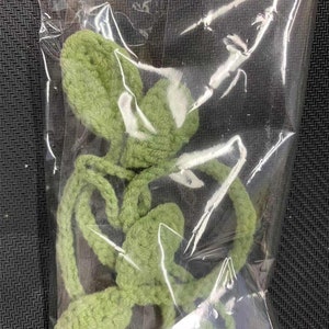 May include: A green crocheted leaf garland with multiple leaves connected by a string. The garland is packaged in a clear plastic bag.