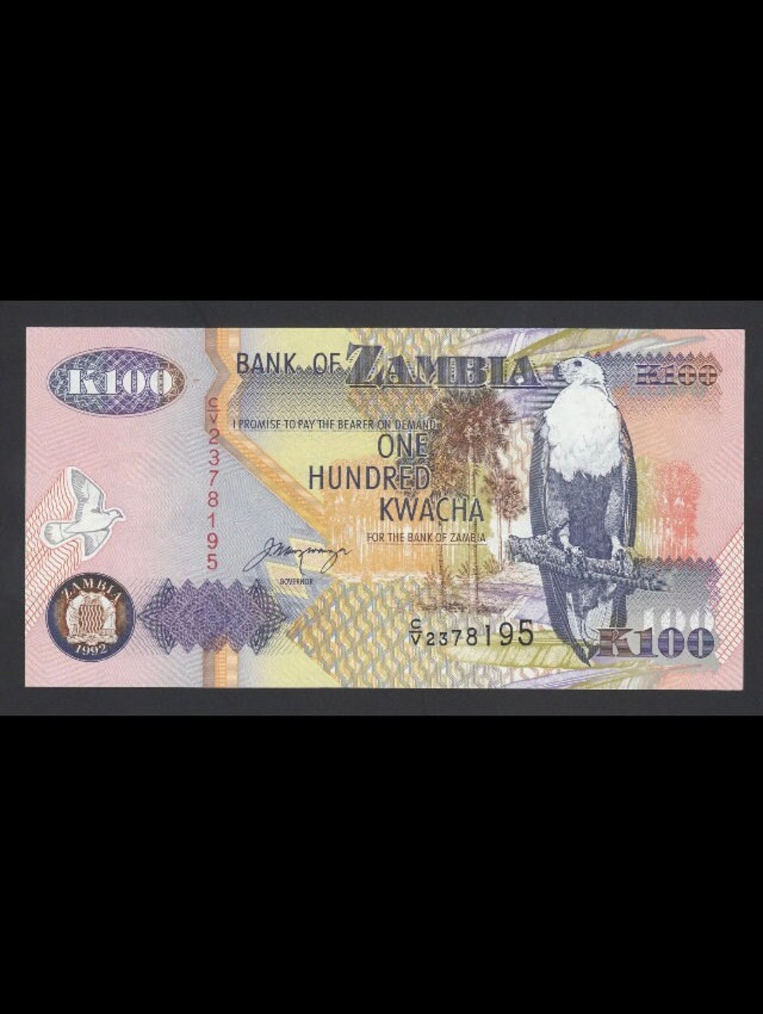 100 Kwacha Bank Bill. Single One Hundred Kwacha Uncirculated Etsy