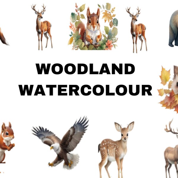 Woodland animals watercolor clipart, forest animals clip art, nursery decor, bear, fox, owl, hedgehog, rabbit, Digital download, svg, png