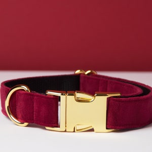 Pu&ograve; includere: Un collare per cani bordeaux con fibbia e anello a D in metallo dorato. Il collare &egrave; realizzato in un materiale morbido e vellutato con fodera interna nera. Lo sfondo &egrave; di colore bordeaux uniforme.