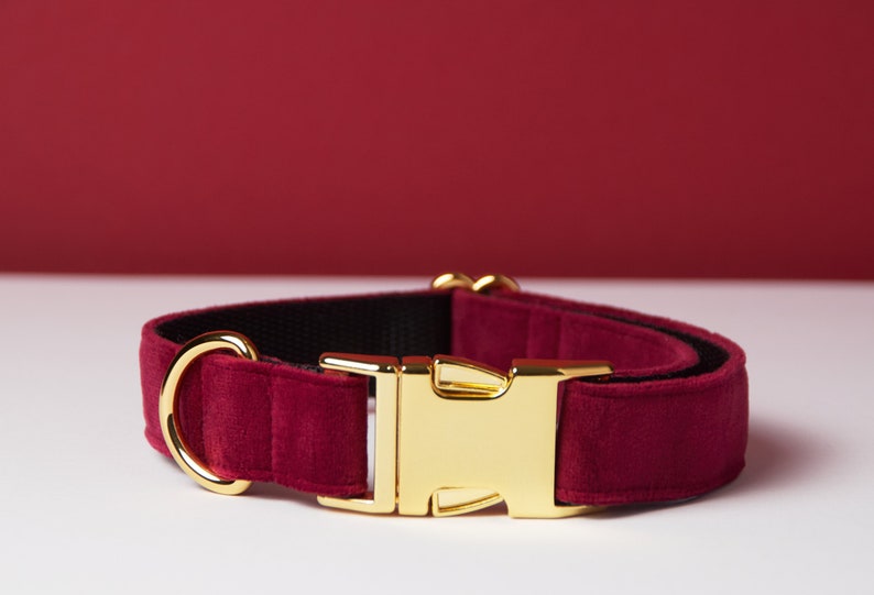 Pu&ograve; includere: Un collare per cani bordeaux con fibbia e anello a D in metallo dorato. Il collare &egrave; realizzato in un materiale morbido e vellutato con fodera interna nera. Lo sfondo &egrave; di colore bordeaux uniforme.