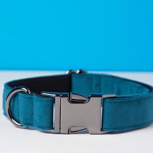 Pu&ograve; includere: Collare per cani color teal con interno nero e fibbia e anello a D in metallo color argento. Il collare &egrave; realizzato in un materiale morbido e vellutato. Lo sfondo &egrave; una sfumatura da bianco a blu.