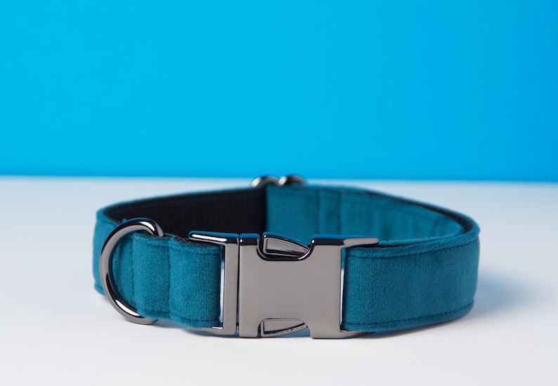 Pu&ograve; includere: Collare per cani color teal con interno nero e fibbia e anello a D in metallo color argento. Il collare &egrave; realizzato in un materiale morbido e vellutato. Lo sfondo &egrave; una sfumatura da bianco a blu.