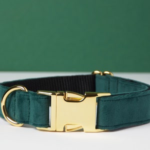Pu&ograve; includere: Un collare per cani verde scuro con fibbia e anello a D in metallo color oro. Il collare &egrave; realizzato in un materiale morbido, simile al velluto, e ha un retro in nylon nero. Lo sfondo &egrave; verde scuro.