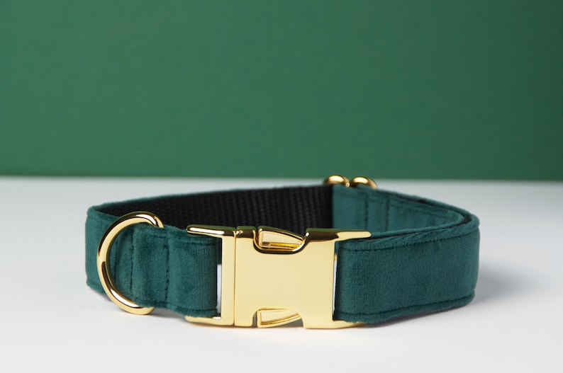 Pu&ograve; includere: Un collare per cani verde scuro con fibbia e anello a D in metallo color oro. Il collare &egrave; realizzato in un materiale morbido, simile al velluto, e ha un retro in nylon nero. Lo sfondo &egrave; verde scuro.