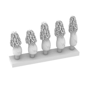Miniatur Pilz - Morilles
