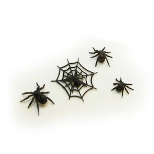 Spiders