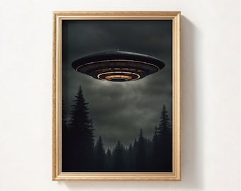 May include: A framed print of a dark, cloudy sky with a flying saucer hovering above a forest of tall, dark trees. The saucer has a glowing light in the center.