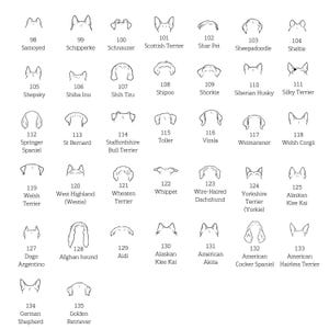 May include: A monochrome illustration displaying a variety of dog breeds, each labelled with a number and name. The image highlights different ear shapes and styles, including breeds such as the Afghan Hound and Yorkshire Terrier.