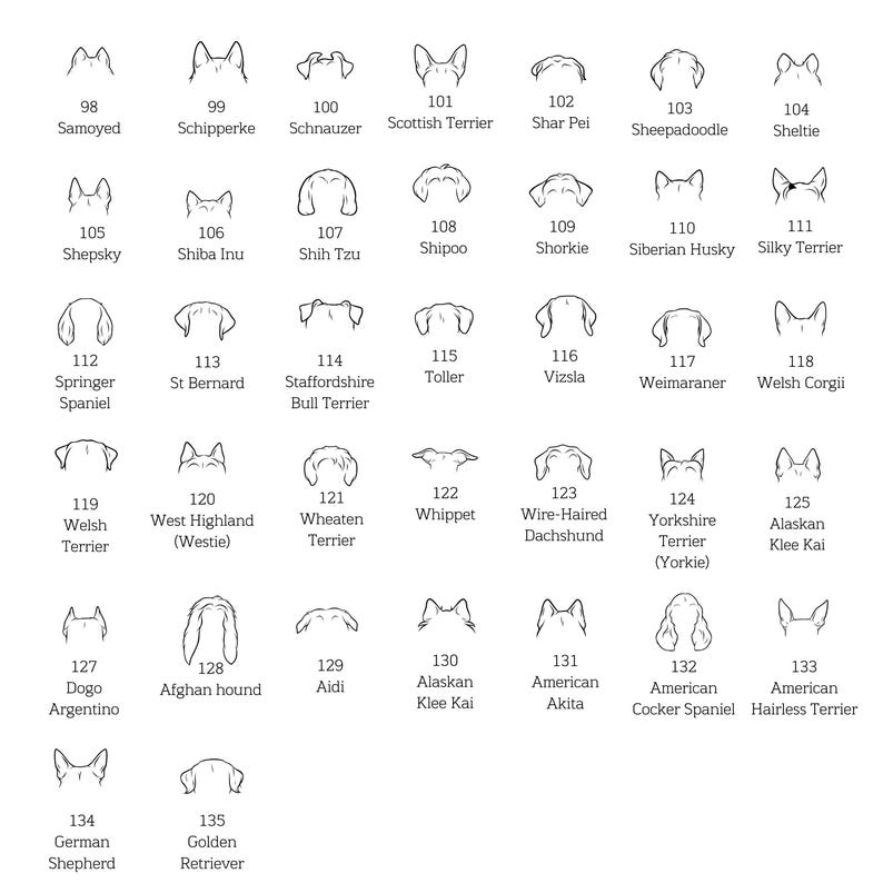 May include: A monochrome illustration displaying a variety of dog breeds, each labelled with a number and name. The image highlights different ear shapes and styles, including breeds such as the Afghan Hound and Yorkshire Terrier.