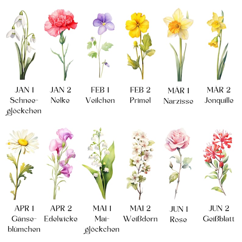 May include: Watercolor illustrations of various flowers, each labeled with a month and day. Featured flowers include snowdrops, carnations, violets, primroses, daffodils, daisies, sweet peas, lily of the valley, hawthorn, roses, and honeysuckle.