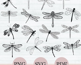 Music Notes SVG Bundle, Music Notes Png Clipart, Musical Notes Vector, Digital Download For Circut
