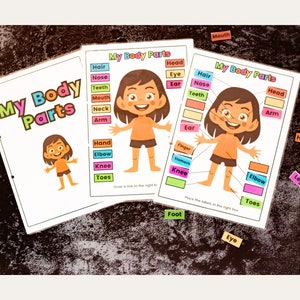 Printable, Body Parts, Preschool Curriculum, Montessori Materials ...