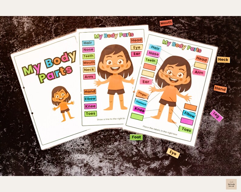 Printable Body Parts Preschool Curriculum Montessori - Etsy