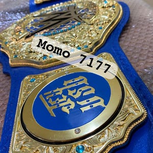 YEET 2023 World Heavyweight Wrestling Championship Belt Replica/custom Yeet Belt/Custom Wrestling Belt 4mm 3D Plates