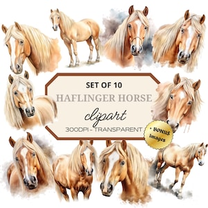 Può includere: Set di 10 immagini clipart digitali di cavalli Haflinger. I cavalli sono raffigurati in stile acquerello con un mantello marrone chiaro e una criniera e una coda bionde. Le immagini sono a 300 DPI e trasparenti.