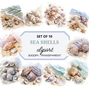 Könnte beinhalten: Set mit 10 Aquarell-Illustrationen von Muscheln auf einem sandigen Strandhintergrund. Die Illustrationen sind 300 DPI und transparent. Der Text "SET OF 10 SEA SHELLS clipart 300DPI - TRANSPARENT" ist im Bild enthalten.