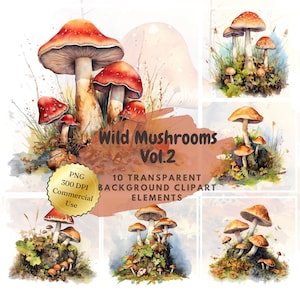 Aquarelle Champignons sauvages Vol.2 Clipart⎥Goodnotes Autocollant Nature⎥Automne⎥Autocollants numériques Automne⎥Téléchargement numérique Impressions d’automne⎥Utilisation commerciale