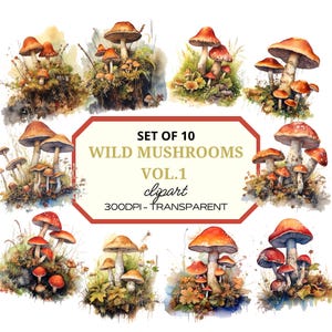 Aquarelle Champignon PNG Clipart, Illustration de champignons de la forêt sauvage, Art botanique d’automne, Téléchargement numérique pour autocollants, Design inspiré de la nature