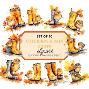 Könnte beinhalten: Set mit 10 Aquarell-Illustrationen von niedlichen Vögeln und gelben Gummistiefeln mit Herbstblättern. Die Illustrationen sind 300 DPI und transparent.
