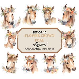 Könnte beinhalten: Set mit 10 Aquarell-Clipart-Bildern von Fohlen, die Blumenkränze tragen. Die Fohlen sind braun mit weißen Abzeichen und haben einen weichen, verspielten Look. Die Blumen sind in Rosa-, Gelb- und Blautönen gehalten. Die Bilder sind 300 dpi und transparent.