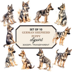 German Shepherd Puppy Clipart⎥Watercolor Clipart Bundle⎥Digital Stickers⎥Dog PNG⎥Instant Digital Download⎥Commercial Use⎥Sublimation Designs