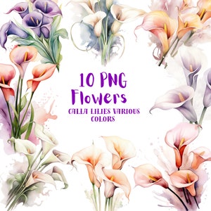 Könnte beinhalten: Zehn PNG-Bilder von Aquarell-Calla-Lilien in verschiedenen Farben, darunter Weiß, Rosa, Pfirsich, Lila und Lavendel. Die Blumen sind in Sträußen angeordnet und vor einem weißen Hintergrund mit Aquarellspritzer platziert.
