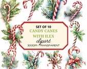 Watercolor Christmas Clipart PNG⎥Clipart Candy Cane Ilex⎥Digital Stickers Christmas⎥Digital Download Christmas Prints⎥Commercial use prints⎥