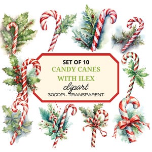 Watercolor Christmas Clipart PNG⎥Clipart Candy Cane Ilex⎥Digital Stickers Christmas⎥Digital Download Christmas Prints⎥Commercial use prints⎥