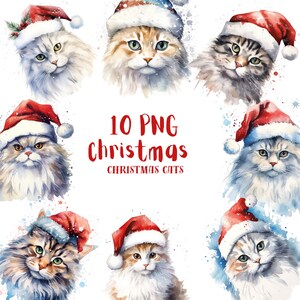 Watercolor Christmas Cat Clipart⎥Clipart Cute Cat⎥Digital Stickers Christmas⎥Digital Download Christmas⎥Digital Planner⎥Commercial use print
