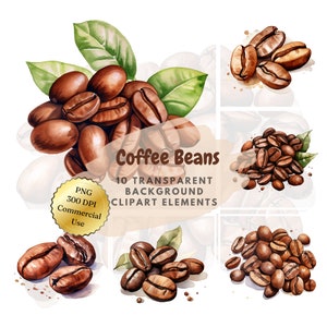 Watercolor Coffee Beans Clipart PNG⎥Goodnotes Sticker⎥Coffee Illustration⎥Food Illustration⎥Instant Download⎥Digital Prints⎥Commercial use