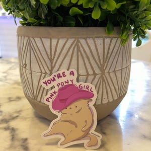 Pink Pony Club Cat