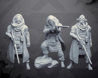 Insurgent Sky Ravager 5 - Skullforge - Dawn Striker - Tabletop Miniaturen - Tabletop Figuren - 3D Druck Miniaturen aus Resin