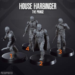Huis Harbinger De Prins (4) - Skullforge - Tafelmodel miniaturen - Tafelmodel figuren - 3D geprinte hars miniaturen