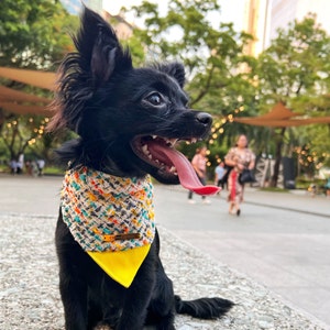 Premium tweed hondenbandana &#39;Milo&#39; handgemaakte hondenstropdas huisdierkleding voor honden en katten