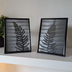Hand-Painted Fern Wall Art Set: Black & White Shadow Design