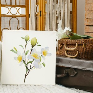 May include: Square canvas art featuring a watercolor painting of white flowers with yellow centers and green leaves. The artwork is displayed in a room with a woven basket, a brown suitcase, and a woven screen.