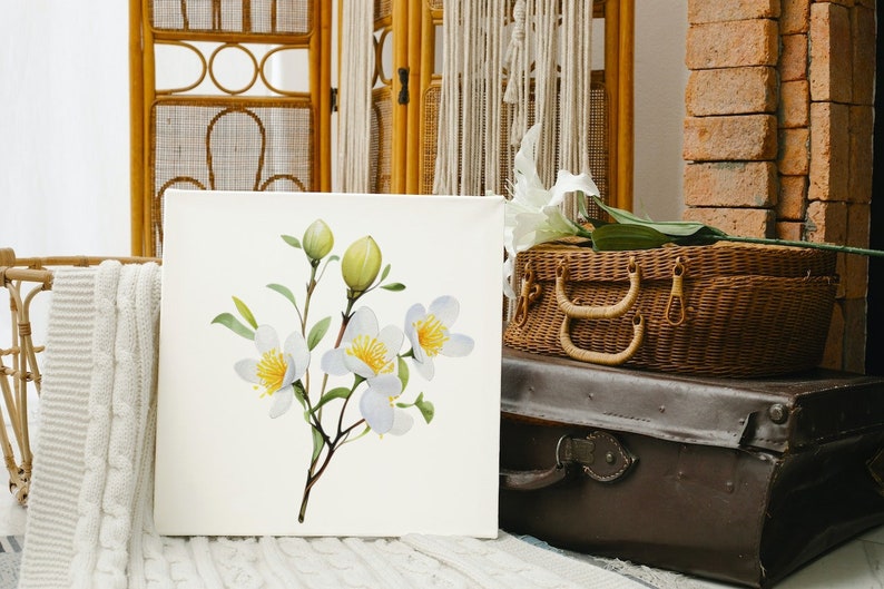 May include: Square canvas art featuring a watercolor painting of white flowers with yellow centers and green leaves. The artwork is displayed in a room with a woven basket, a brown suitcase, and a woven screen.