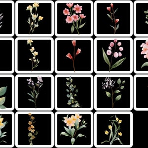 May include: A collection of watercolor floral illustrations, each set against a black background within a white-bordered square. The botanical images feature various flowers and foliage in shades of pink, yellow, green, and purple, showcasing a range of floral designs.