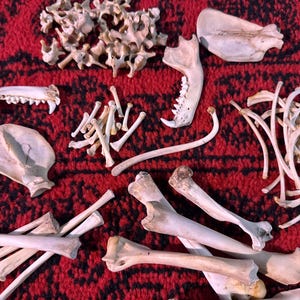 Puede incluir: Un juego de tres tazas de cerámica con un acabado mate moteado. Las tazas son de color crema, gris claro y gris oscuro. Cada taza tiene un diseño simple y minimalista y un asa redondeada.