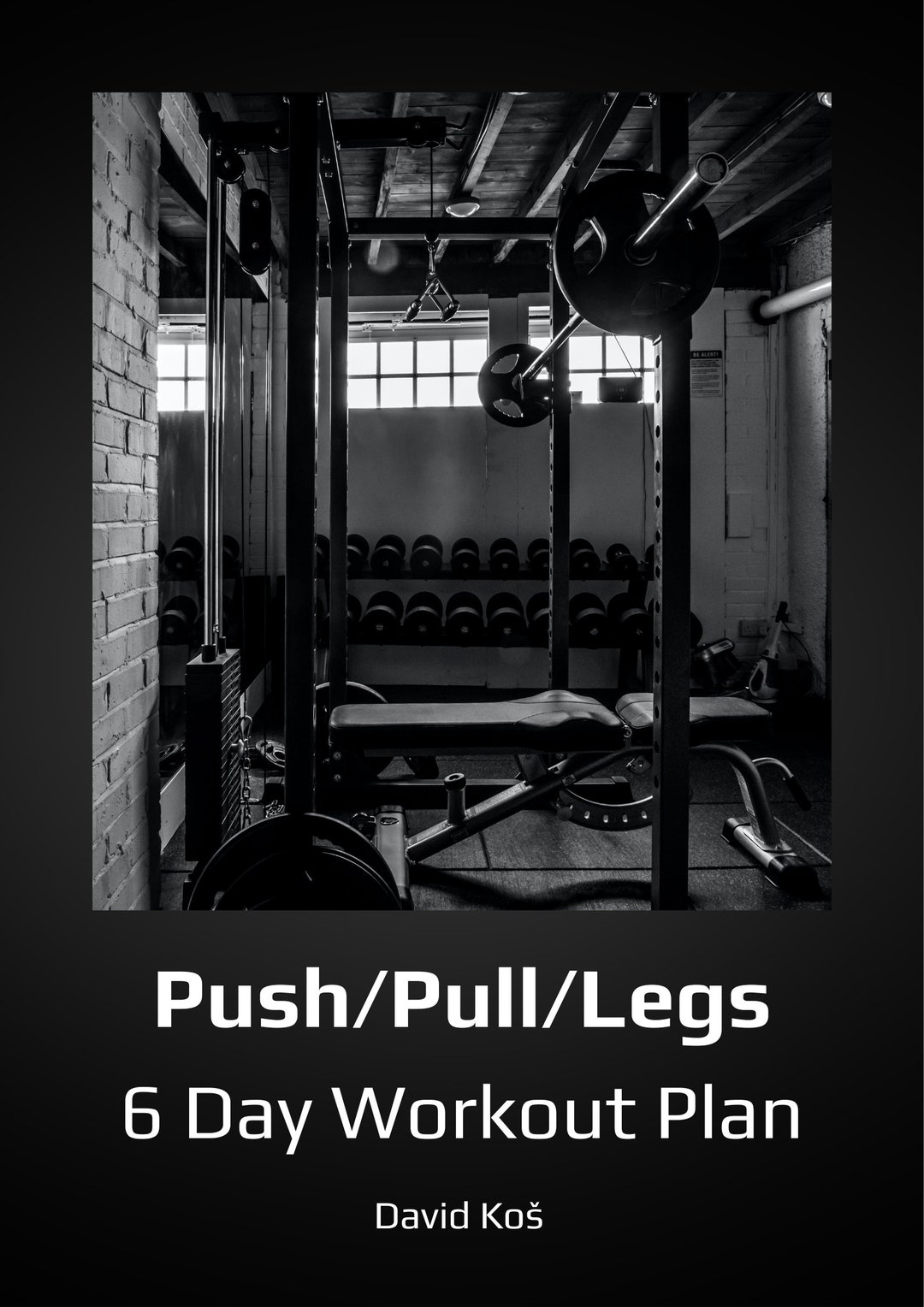 David laid push pull legs program sale