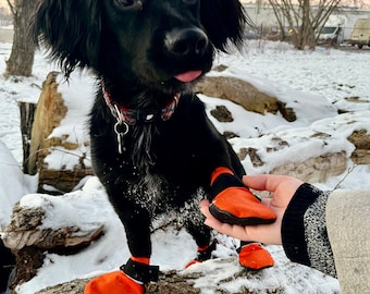 Botas para perros Cordura, protección contra cactus, para nieve y invierno, juego de 4